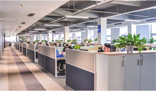 統(tǒng)籌規(guī)劃與技術(shù)創(chuàng)新 以房地一體確權(quán)登記系統(tǒng)為核心的鄉(xiāng)村房地管理新路徑